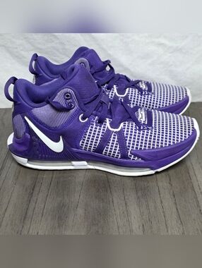 Nike Lebron Witness 7 TB Court Purple Basketball Shoes DZ3299-500